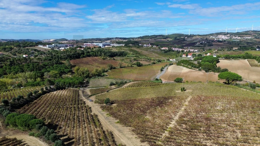 Terreno para Venda em Carvoeira e Carmões Foto 11
