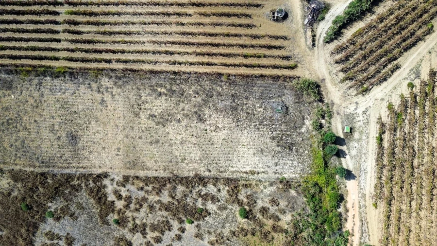 Terreno para Venda em Carvoeira e Carmões Foto 8