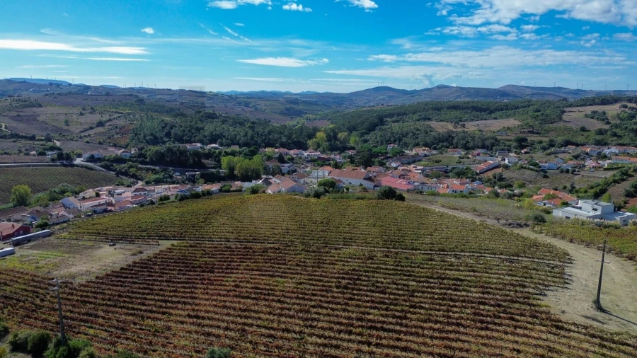 Terreno para Venda em Carvoeira e Carmões Foto 10