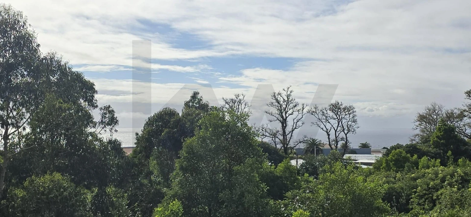 Moradia T4 para Venda em Rosto do Cão (São Roque) Foto 15