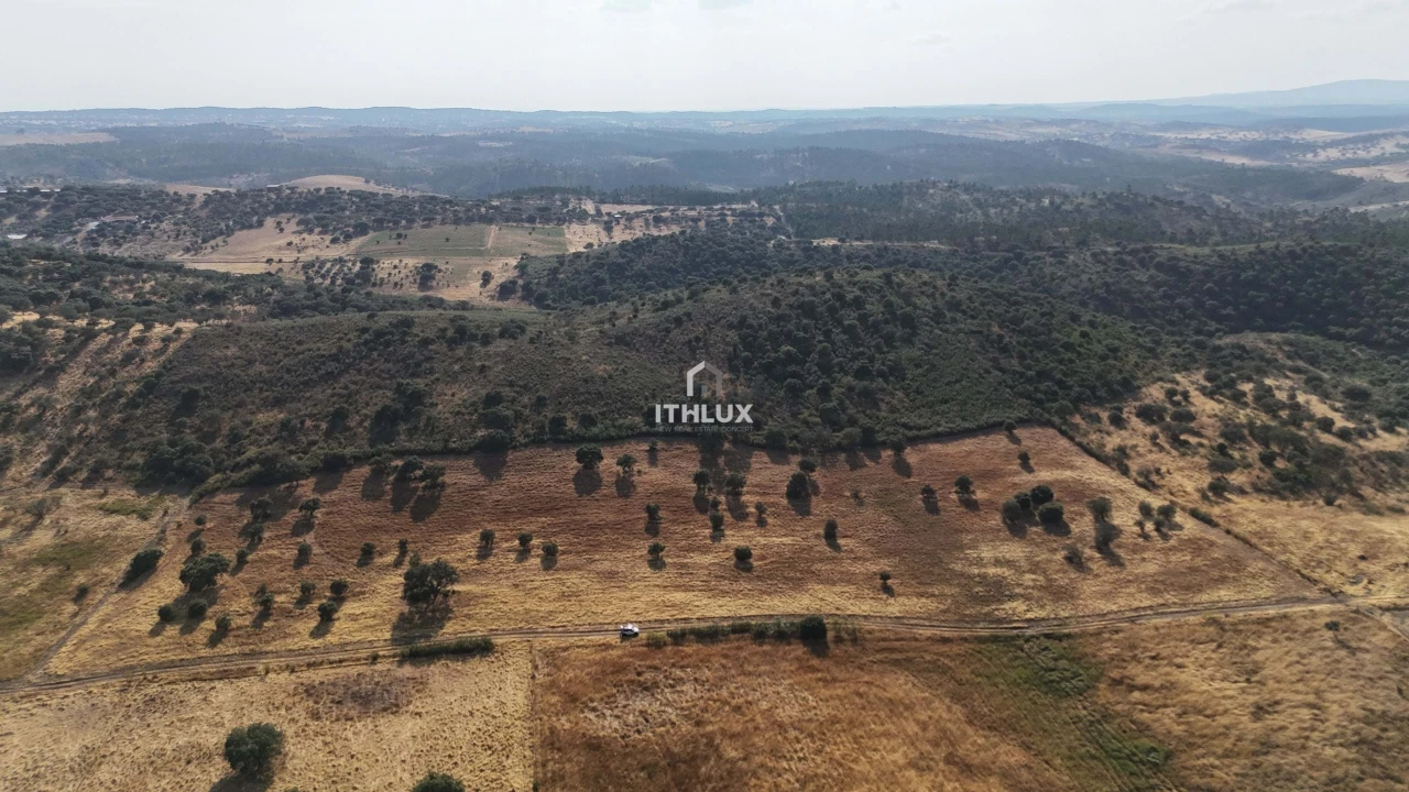 Terreno Agricola ou Rústico para Venda em Terena (São Pedro) Foto 1