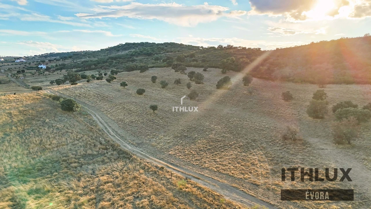 Terreno Agricola ou Rústico para Venda em Terena (São Pedro) Foto 9