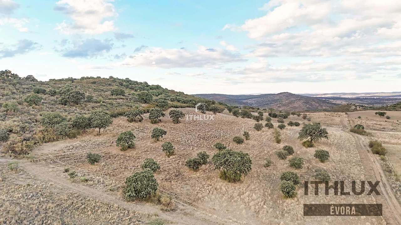 Terreno Agricola ou Rústico para Venda em Terena (São Pedro) Foto 5