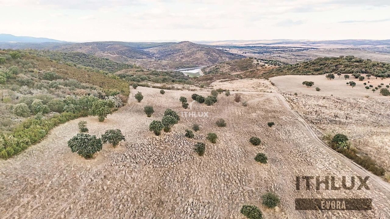 Terreno Agricola ou Rústico para Venda em Terena (São Pedro) Foto 6