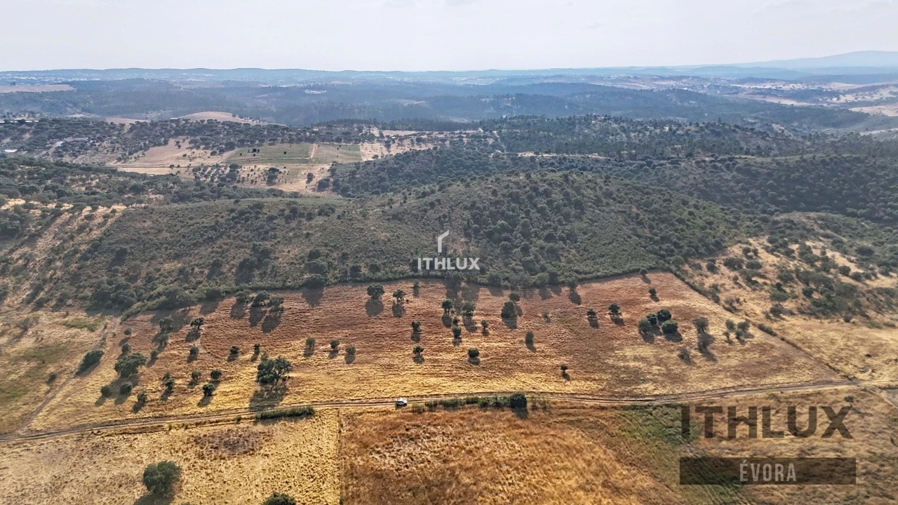 Terreno Agricola ou Rústico para Venda em Terena (São Pedro) Foto 4