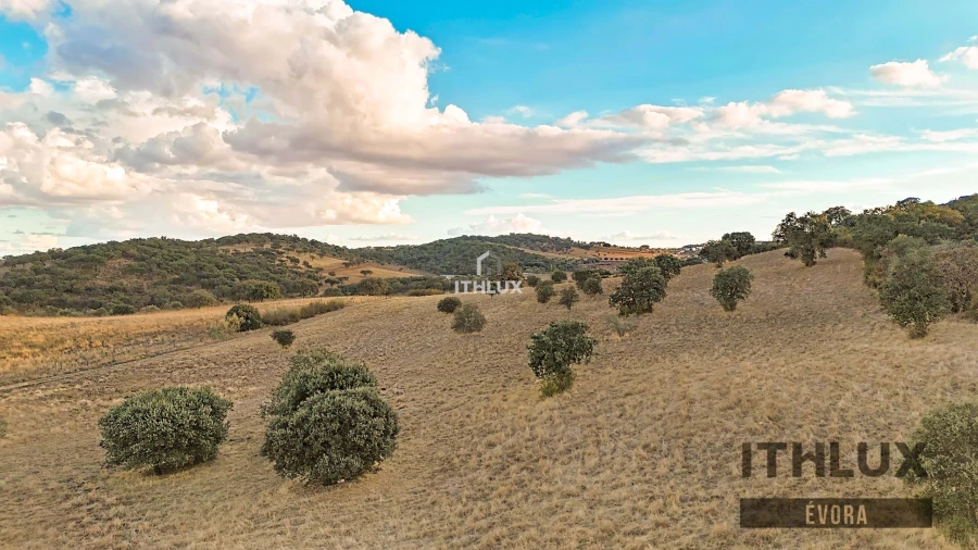 Terreno Agricola ou Rústico para Venda em Terena (São Pedro) Foto 7