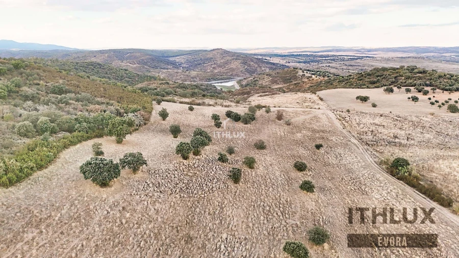 Terreno Agricola ou Rústico para Venda em Terena (São Pedro) Foto 6