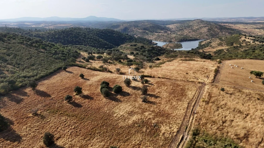 Terreno Agricola ou Rústico para Venda em Terena (São Pedro) Foto 3