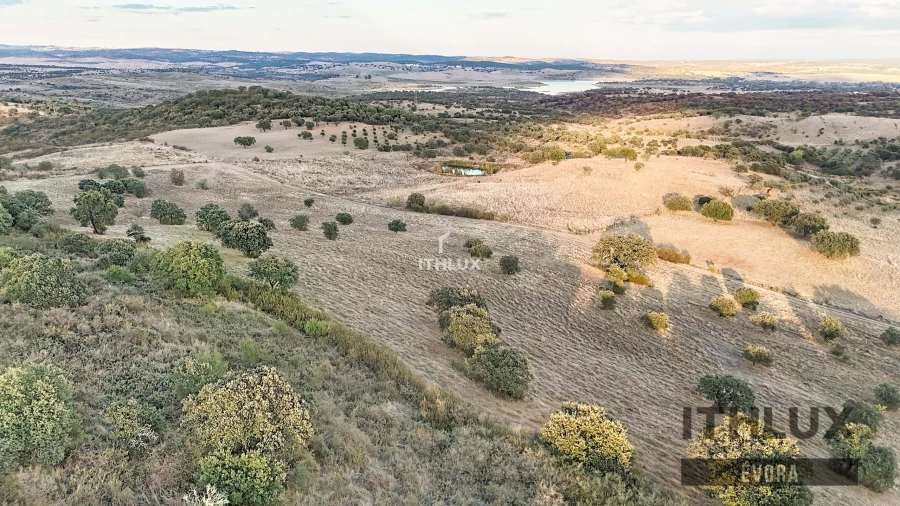 Terreno Agricola ou Rústico para Venda em Terena (São Pedro) Foto 8
