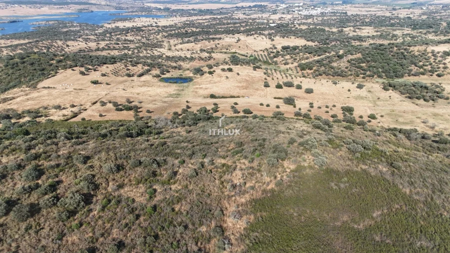Terreno Agricola ou Rústico para Venda em Terena (São Pedro) Foto 2