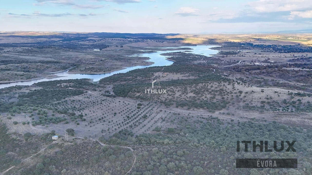 Terreno Agricola ou Rústico para Venda em Terena (São Pedro) Foto 11