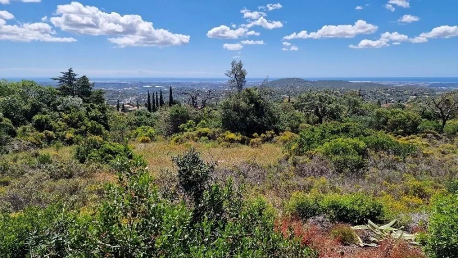 Terreno para Venda em Santa Barbara de Nexe Foto 2