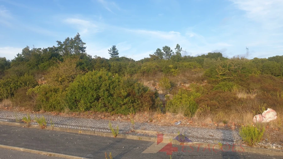 Terreno para Venda em Pombal Foto 3