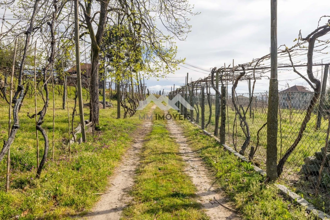 Moradia T3 para Venda em Airães Foto 43