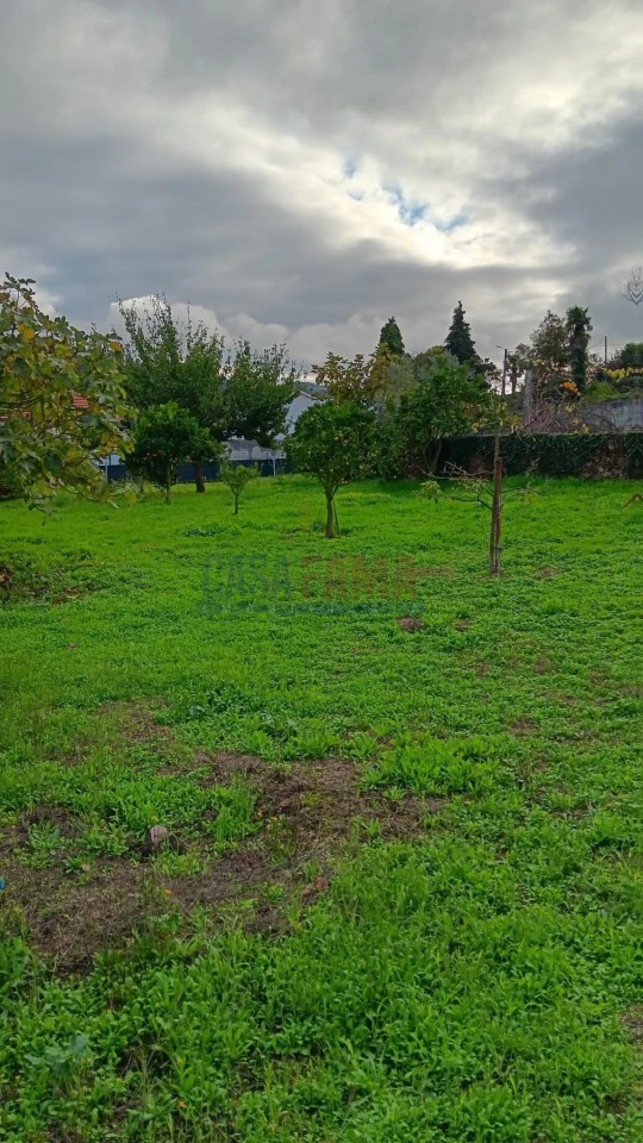 Terreno Agricola ou Rústico para Arrendamento em Santo Tirso, Couto (Santa Cristina e São Miguel) e Burgães Foto 5