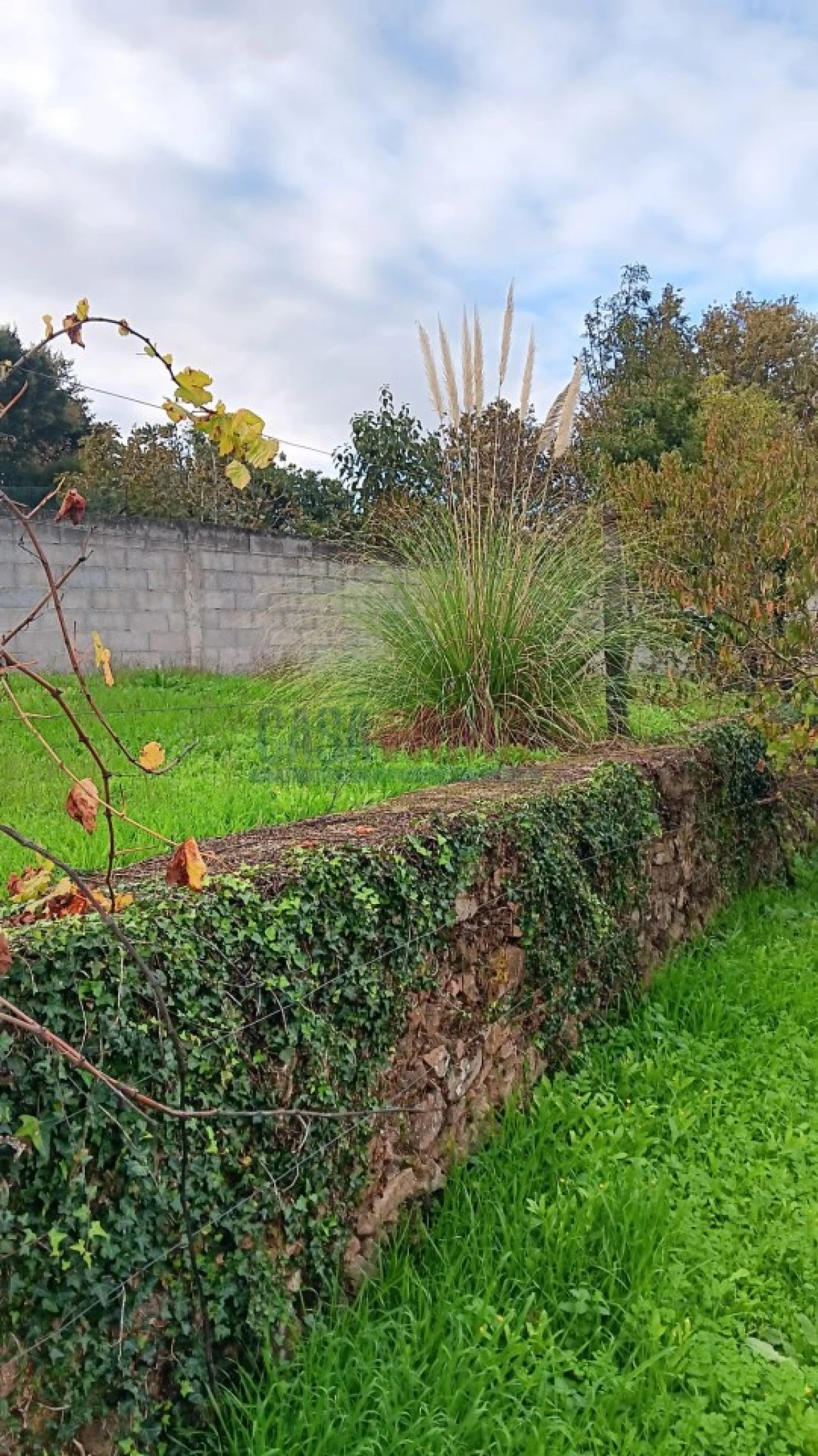 Terreno Agricola ou Rústico para Arrendamento em Santo Tirso, Couto (Santa Cristina e São Miguel) e Burgães Foto 6