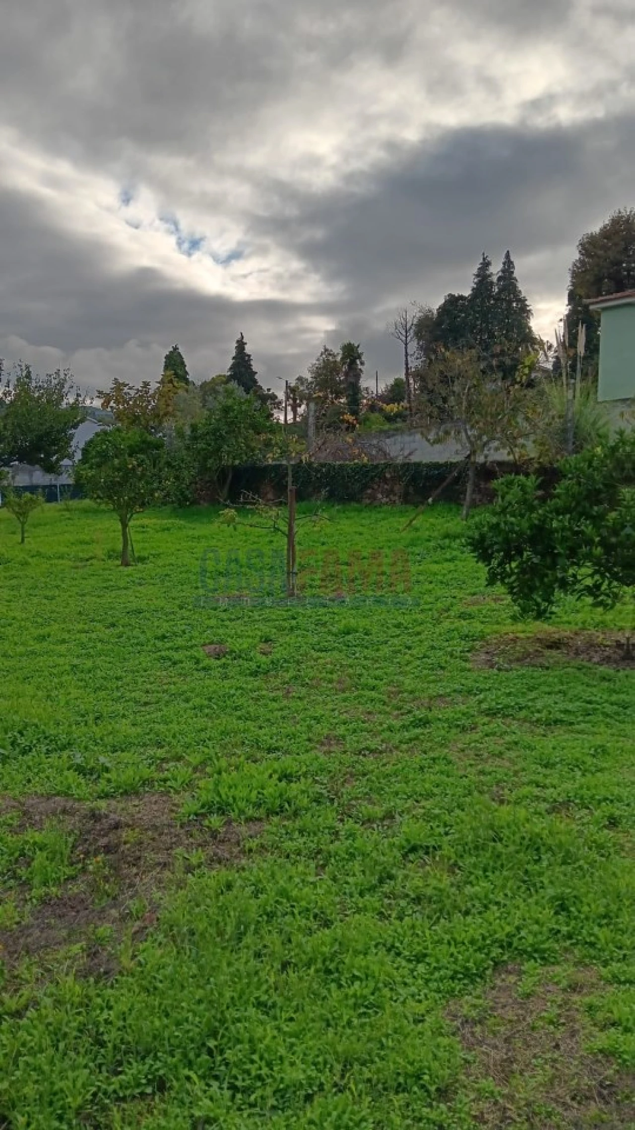 Terreno Agricola ou Rústico para Arrendamento em Santo Tirso, Couto (Santa Cristina e São Miguel) e Burgães Foto 10