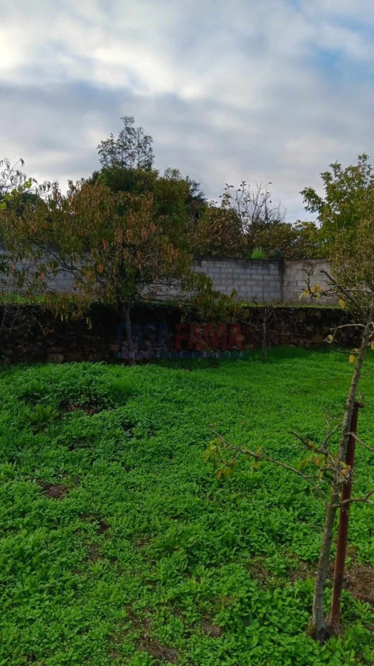 Terreno Agricola ou Rústico para Arrendamento em Santo Tirso, Couto (Santa Cristina e São Miguel) e Burgães Foto 14