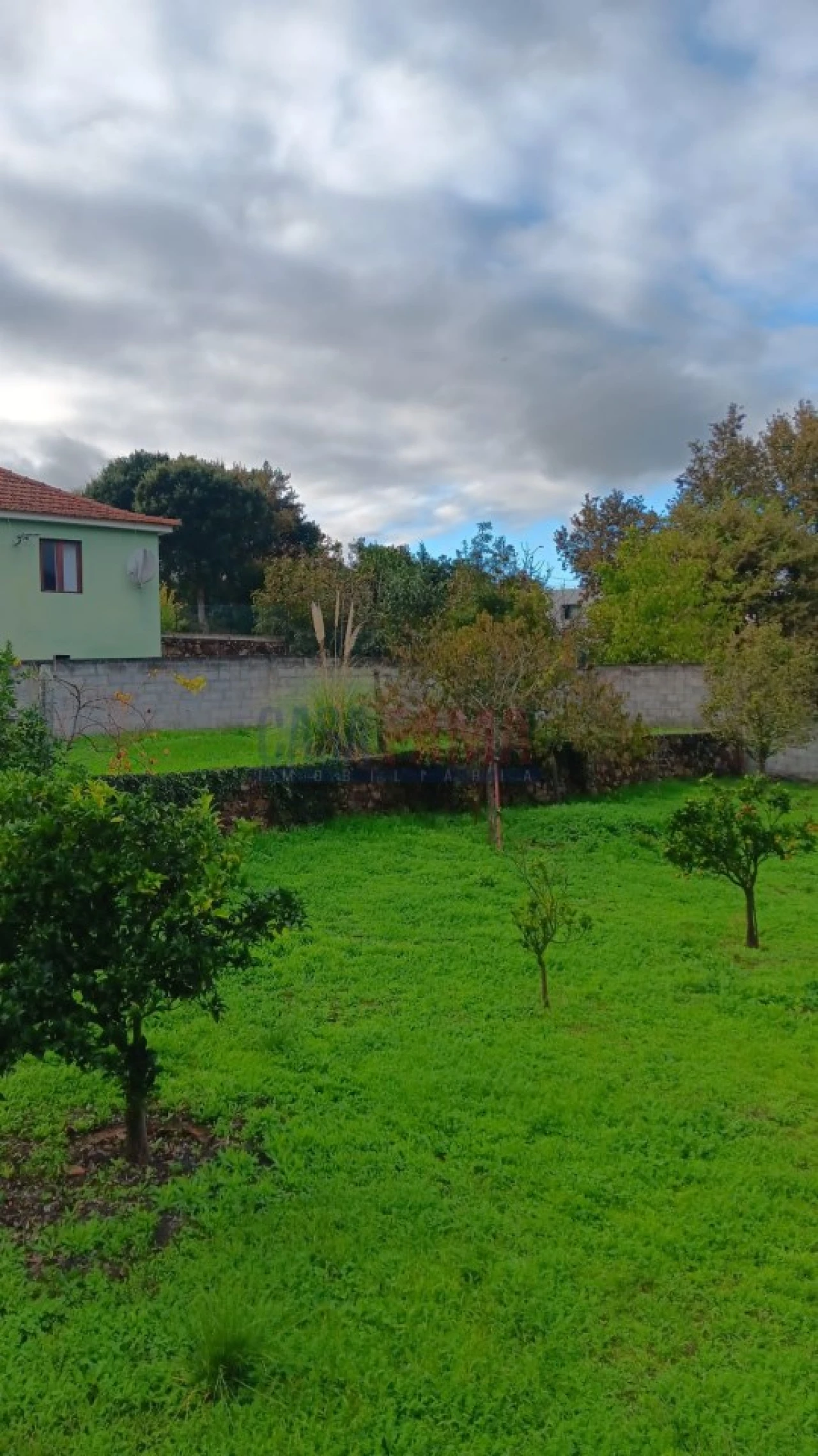 Terreno Agricola ou Rústico para Arrendamento em Santo Tirso, Couto (Santa Cristina e São Miguel) e Burgães Foto 19