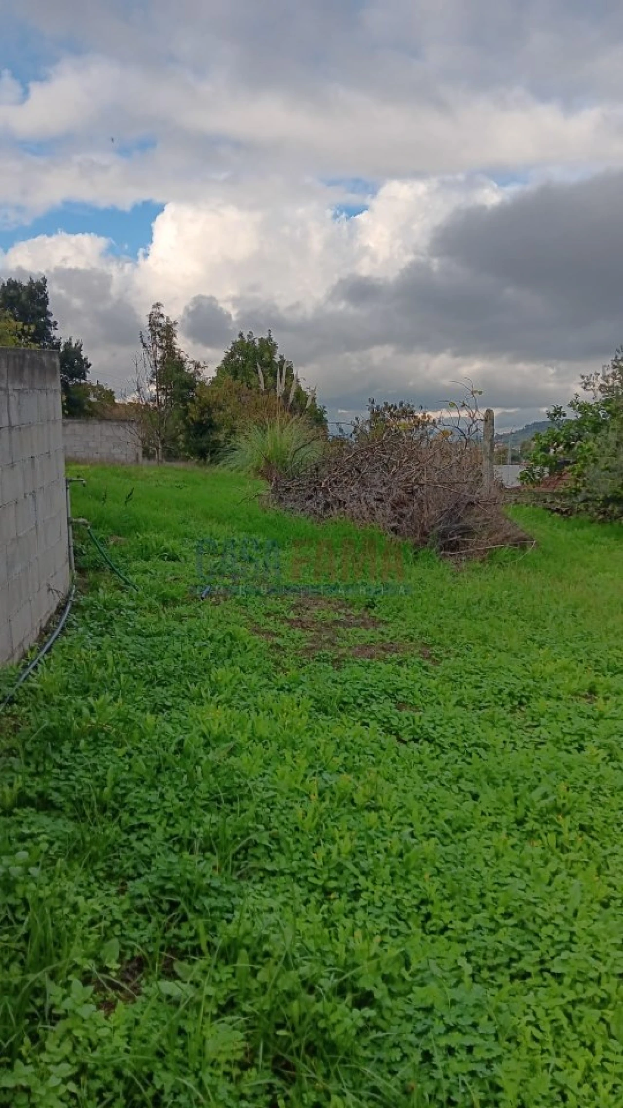 Terreno Agricola ou Rústico para Arrendamento em Santo Tirso, Couto (Santa Cristina e São Miguel) e Burgães Foto 22