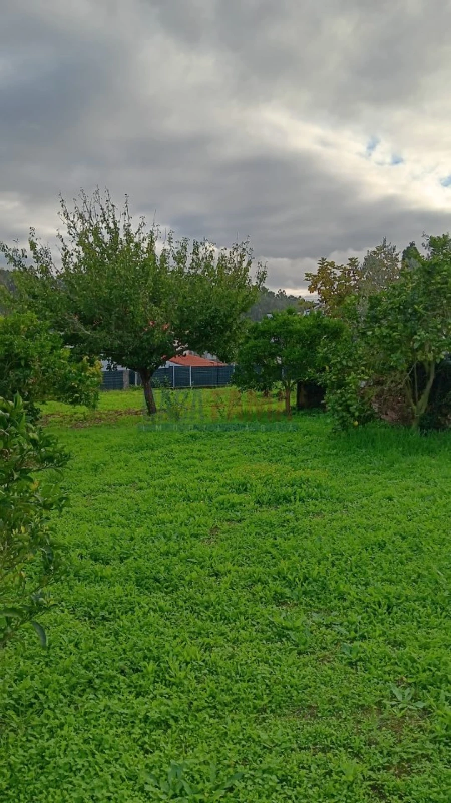 Terreno Agricola ou Rústico para Arrendamento em Santo Tirso, Couto (Santa Cristina e São Miguel) e Burgães Foto 2