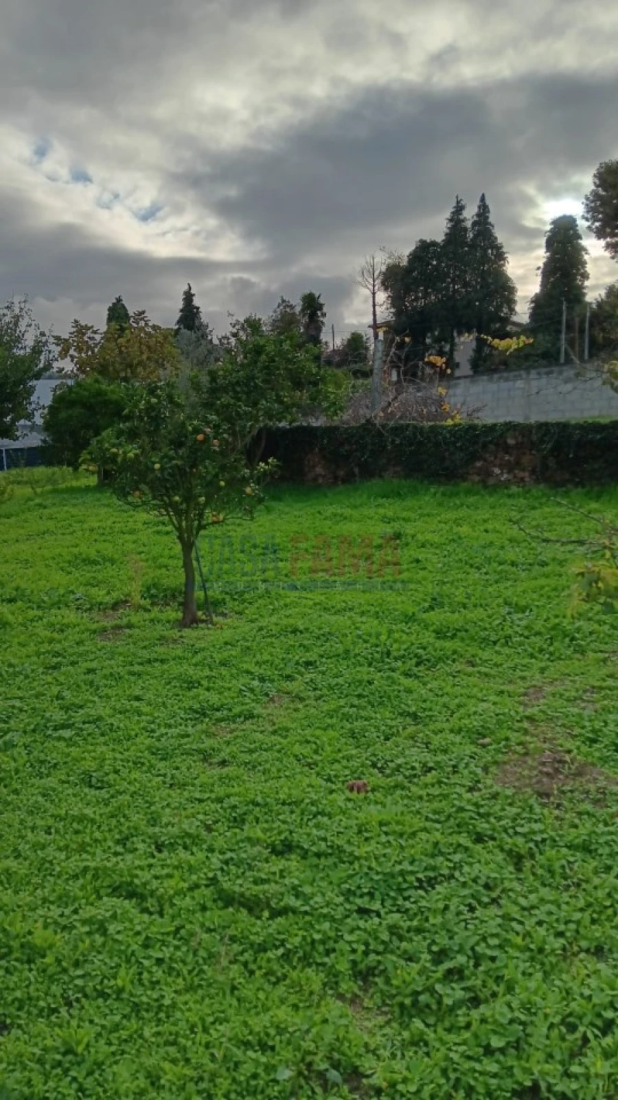 Terreno Agricola ou Rústico para Arrendamento em Santo Tirso, Couto (Santa Cristina e São Miguel) e Burgães Foto 4