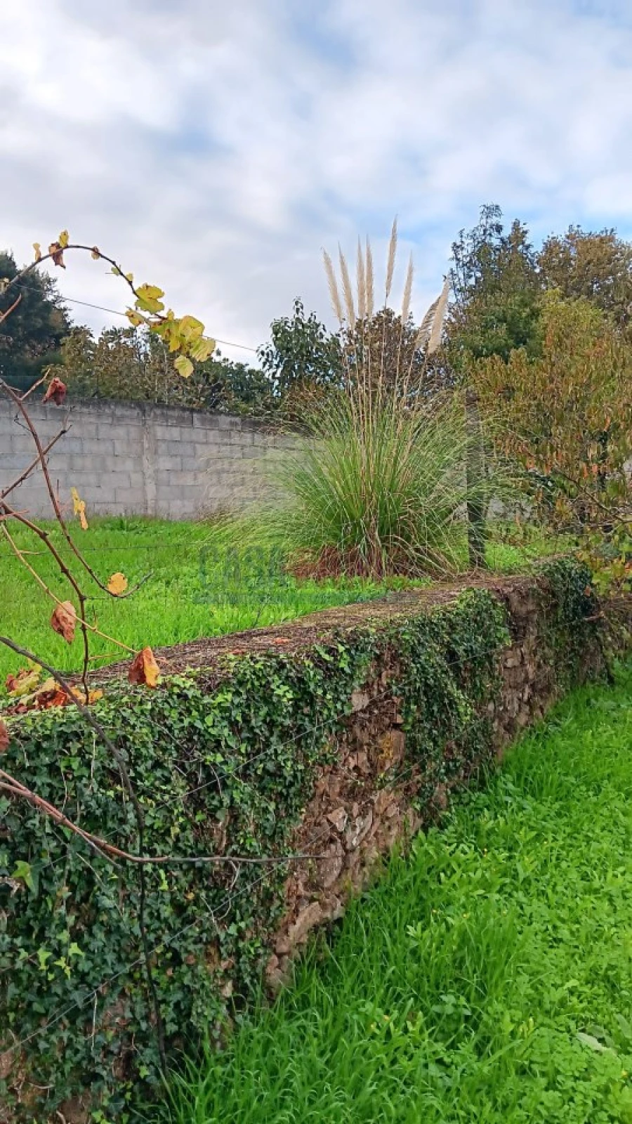 Terreno Agricola ou Rústico para Arrendamento em Santo Tirso, Couto (Santa Cristina e São Miguel) e Burgães Foto 6