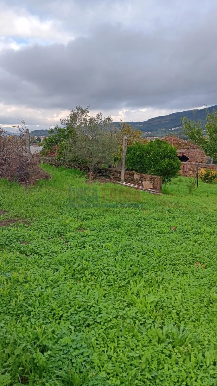 Terreno Agricola ou Rústico para Arrendamento em Santo Tirso, Couto (Santa Cristina e São Miguel) e Burgães Foto 7