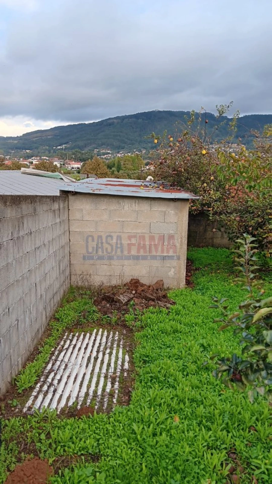 Terreno Agricola ou Rústico para Arrendamento em Santo Tirso, Couto (Santa Cristina e São Miguel) e Burgães Foto 9