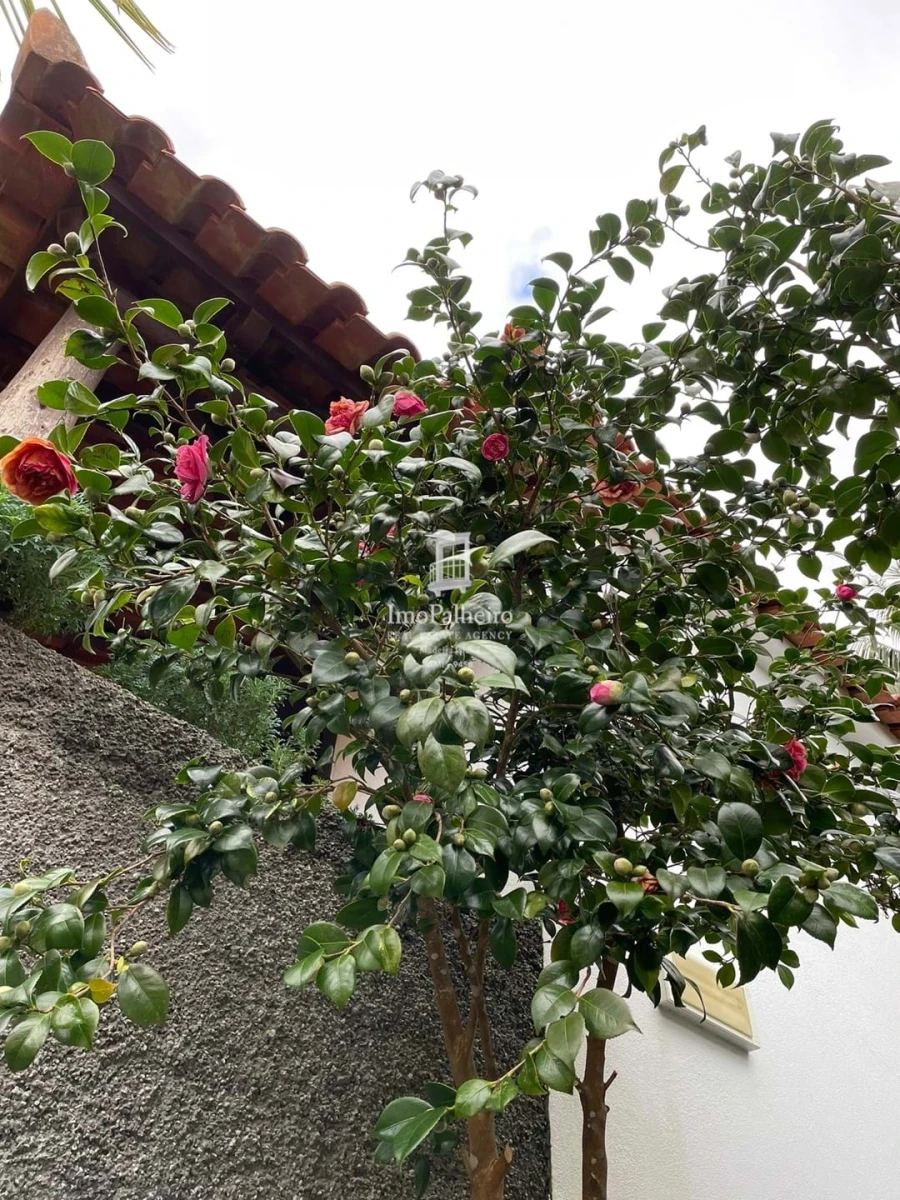 Prédio para Venda em São Gonçalo Foto 43