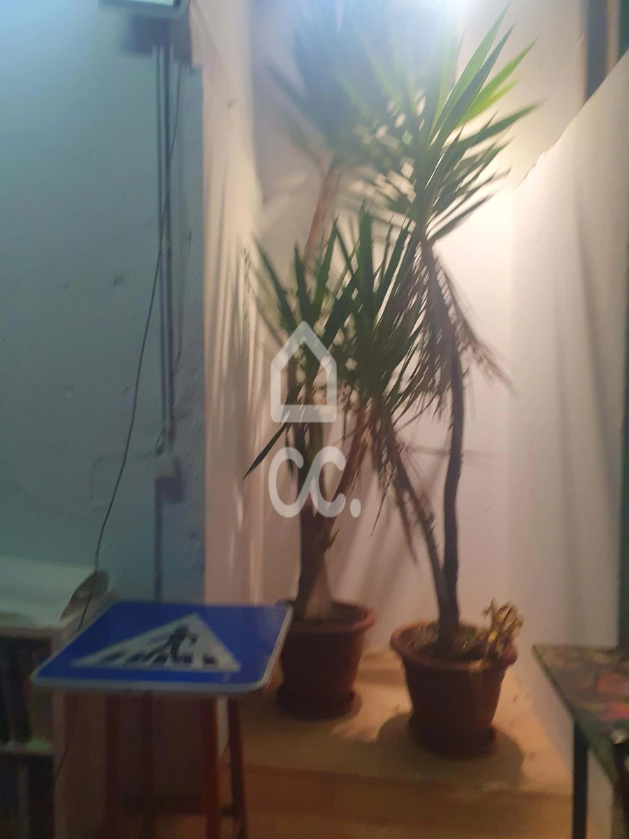 Negócio para Venda em Oeiras e São Julião da Barra, Paço de Arcos e Caxias Foto 4