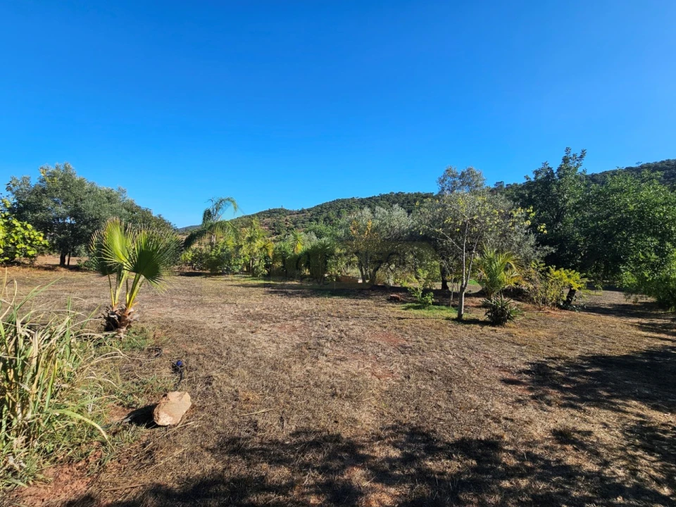 Moradia T2 para Venda em Alte Foto 24