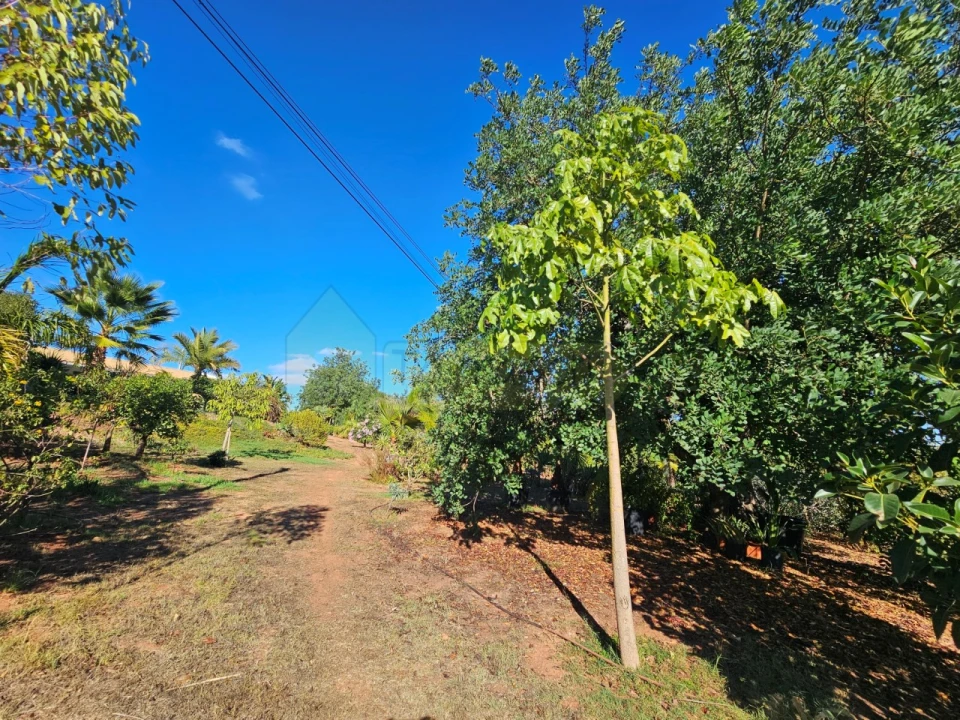 Moradia T2 para Venda em Alte Foto 25