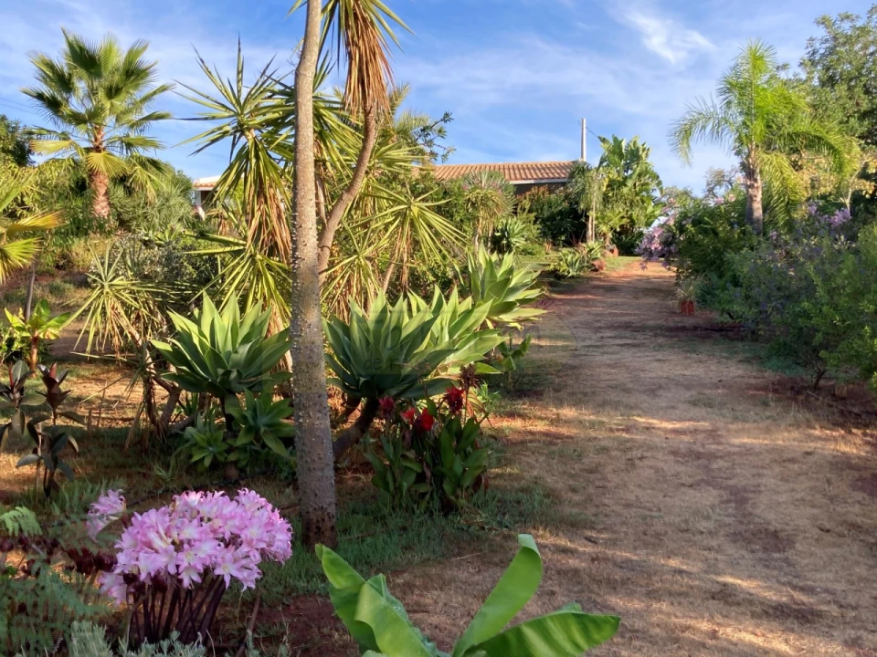 Moradia T2 para Venda em Alte Foto 30