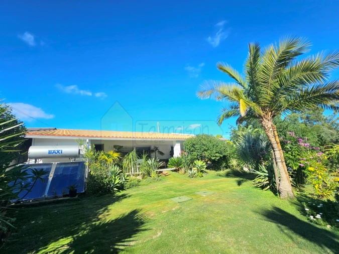 Moradia T2 para Venda em Alte Foto 3