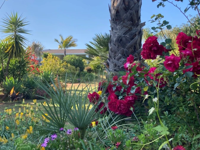 Moradia T2 para Venda em Alte Foto 29