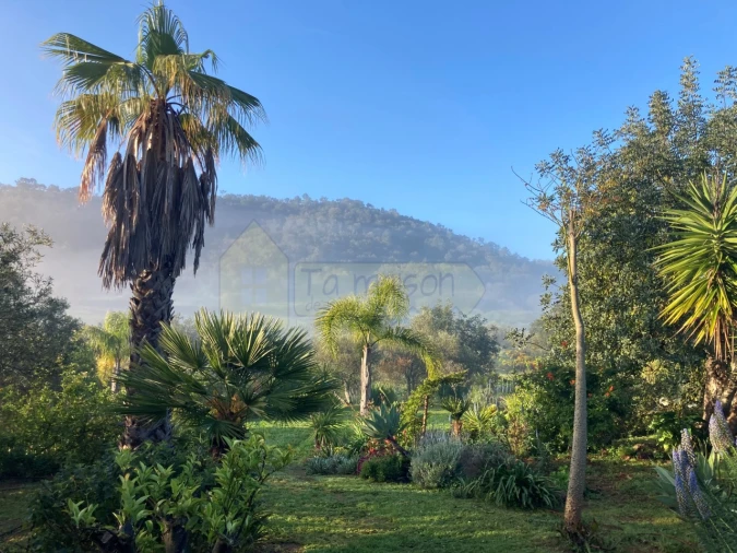 Moradia T2 para Venda em Alte Foto 31