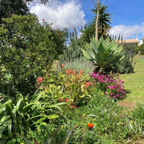 Moradia T2 para Venda em Alte Foto 32