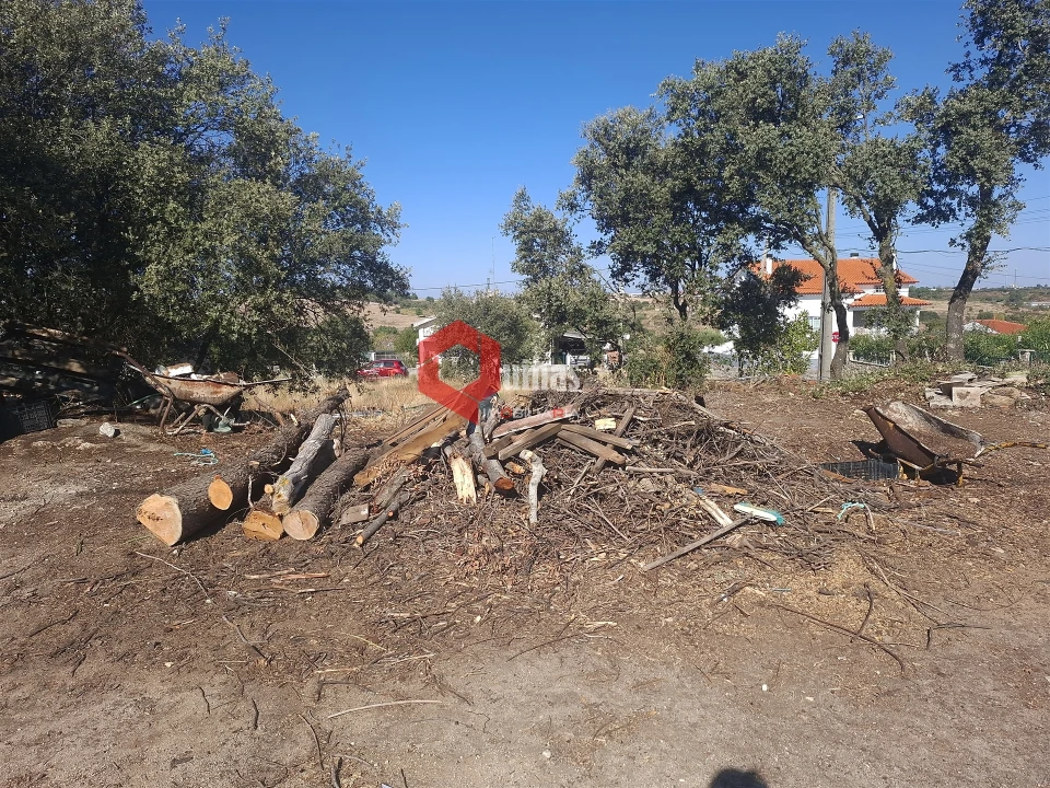 Terreno para Venda em Vilar Formoso Foto 9