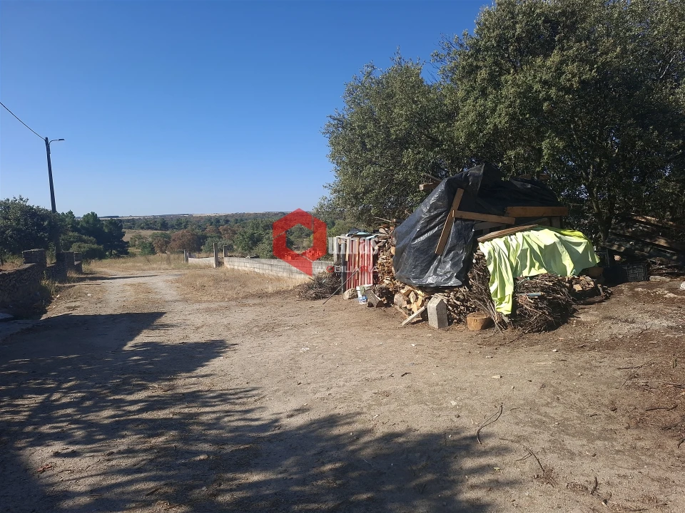 Terreno para Venda em Vilar Formoso Foto 7