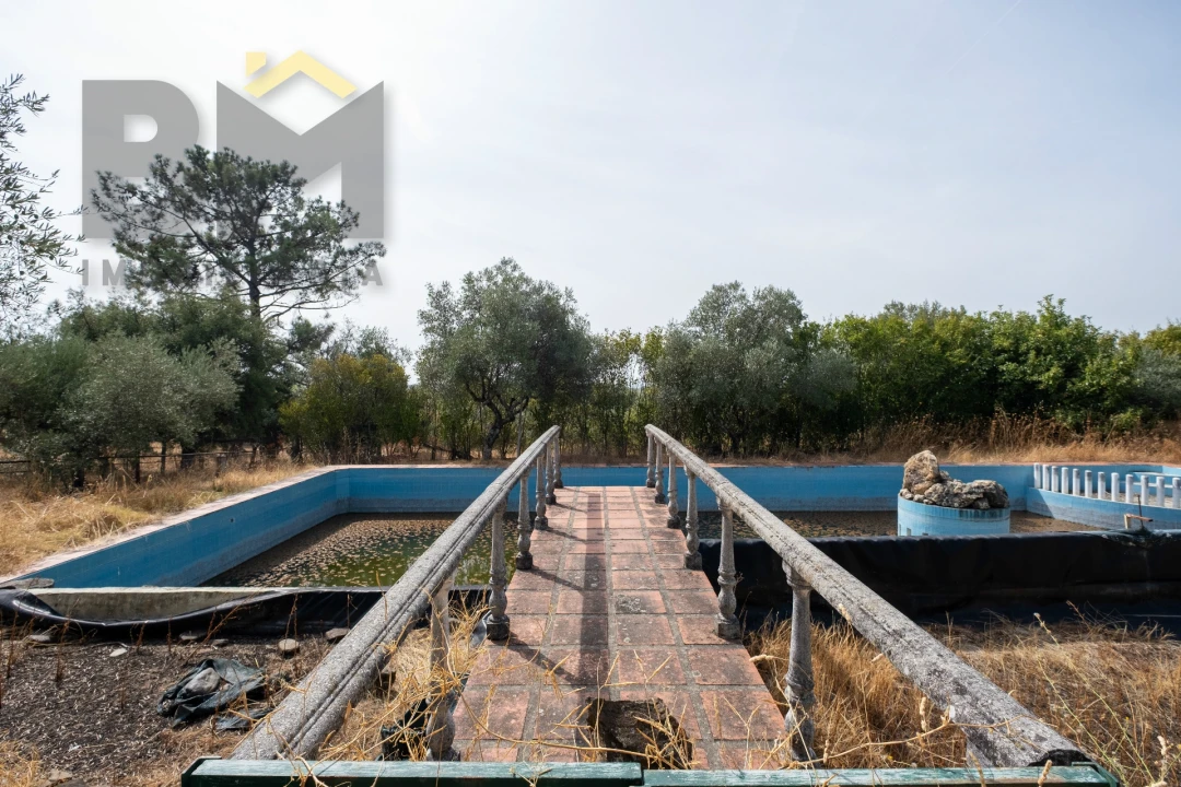 Quinta T0 para Venda em Ninho do Açor e Sobral do Campo Foto 24