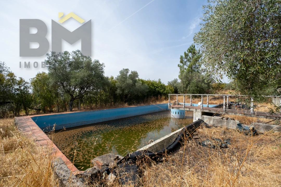 Quinta T0 para Venda em Ninho do Açor e Sobral do Campo Foto 25