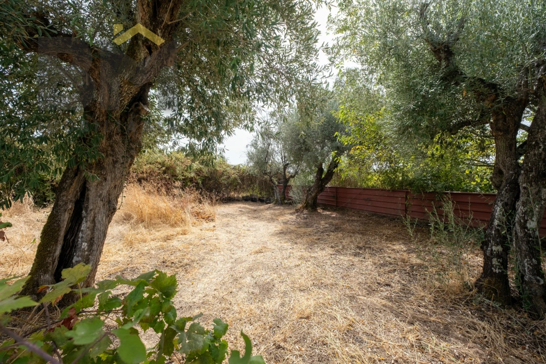 Quinta T0 para Venda em Ninho do Açor e Sobral do Campo Foto 27