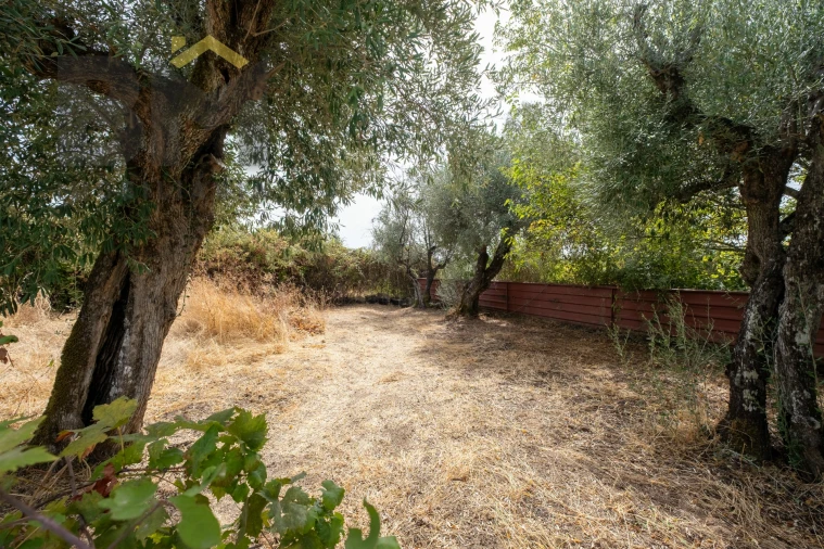 Quinta T0 para Venda em Ninho do Açor e Sobral do Campo Foto 27