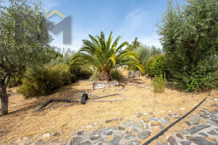 Quinta T0 para Venda em Ninho do Açor e Sobral do Campo Foto 22