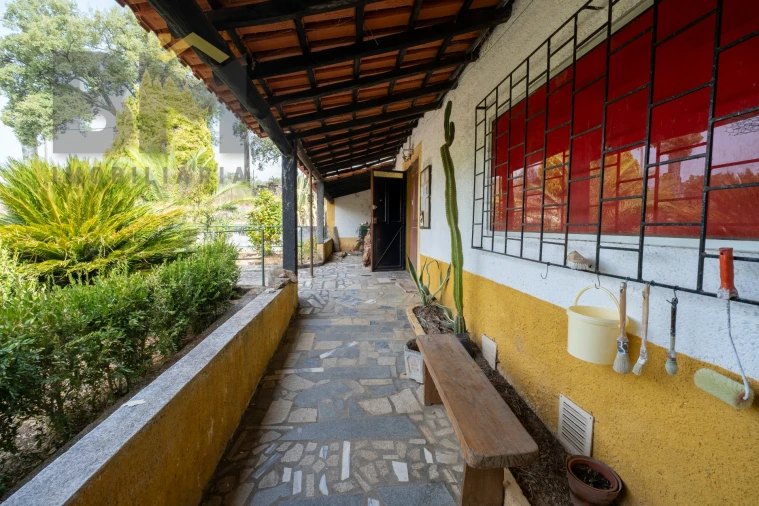 Quinta T0 para Venda em Ninho do Açor e Sobral do Campo Foto 4