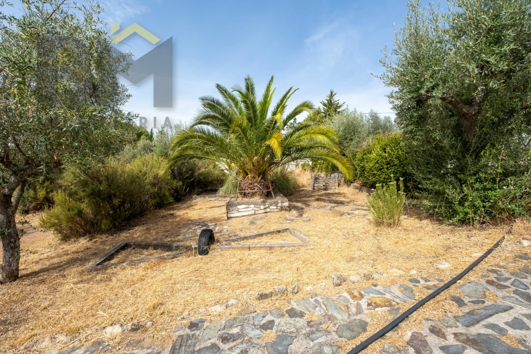 Quinta T0 para Venda em Ninho do Açor e Sobral do Campo Foto 22