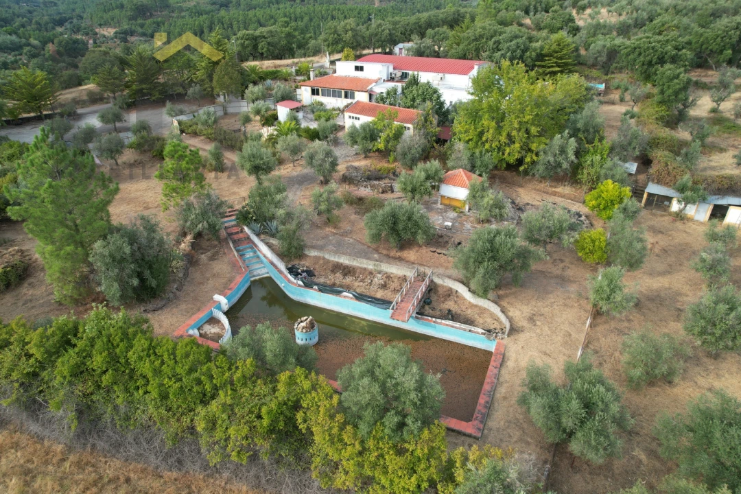 Quinta T0 para Venda em Ninho do Açor e Sobral do Campo Foto 1
