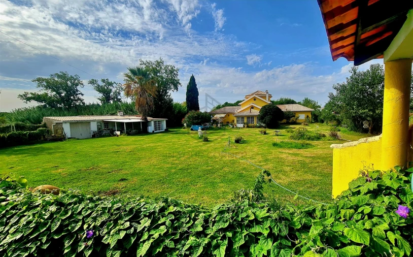 Moradia T3 para Arrendamento em Azeitão (São Lourenço e São Simão) Foto 4