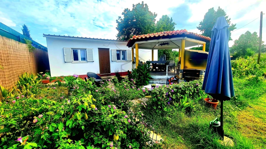 Moradia T3 para Arrendamento em Azeitão (São Lourenço e São Simão) Foto 12